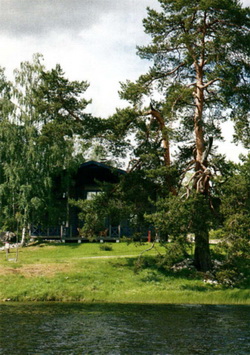 Финский домик из клееного соснового бруса - вид из леса