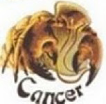 рак - cancer