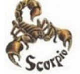 скорпион - scorpio