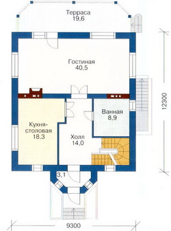 Проект №50 - план первого этажа
